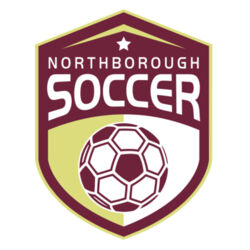 NYSA - Car / Travel Mug Decal Design