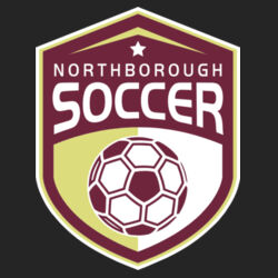 NYSA - Ladies Performance Blend V Neck Tee Design