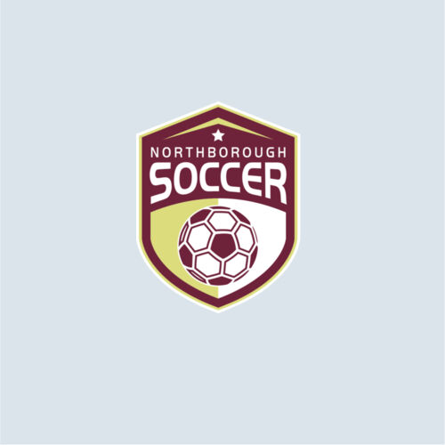 NYSA - Car / Travel Mug Decal Thumbnail